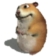 Chomik