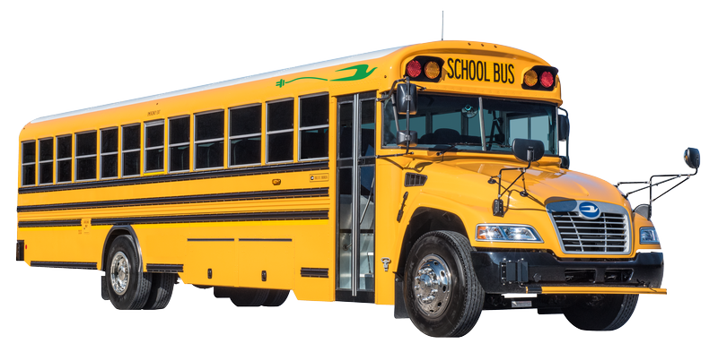 School Bus
